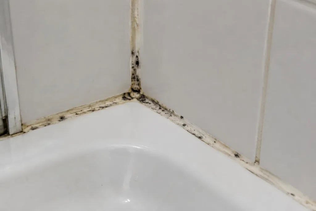 Kitbedrijf Benschop – beschimmelde kitranden